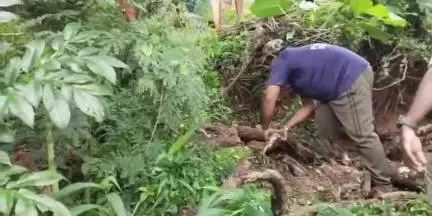 കൊട്ടാരക്കര: ചടയമംഗലം കളങ്ങാട് ഭാഗത്ത് തൊഴിലുറപ്പ് സൈറ്റിൽ നിന്ന് കൂറ്റൻ പെരുമ്പാമ്പിനെ പിടികൂടി