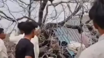 खालवा: भिडिंग्या में बस स्टॉप पर पेड़ गिरने से महिला की दबकर मौत