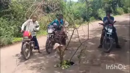 इगतपुरी: पब्लिक एपच्या बातमीचा इम्पॅक्ट सोनोशी ते शिरेवाडी रस्त्यावर असलेला भला मोठा खड्डा बुजवला #jansamasya