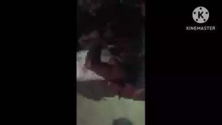 खुरई: गुरुकुल के पास ट्राला ने बंसल कंपनी के बाइक सवार मजदूर को कुचला, मजदूर घायल