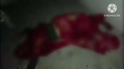 मुरैना नगर: सिकरोदा नहर के पास ससुर ने विधवा बहू की गोली मारकर हत्या की, पुलिस जांच में जुटी