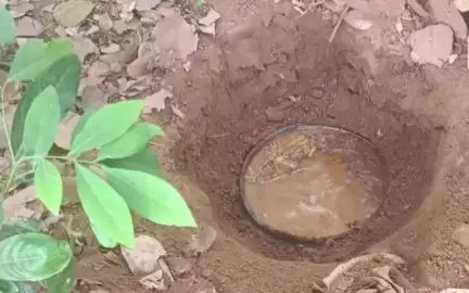 ଢେଙ୍କାନାଳ ସଦର: ଜିଲ୍ଲାର ୨ଟି ସ୍ଥାନରୁ ଅବକାରୀ ବିଭାଗର ଚଢ଼ାଉରେ ୨ଟି ବେନାମୀ ମାମଲା ରୁଜୁ, ମଦ ଜବତ