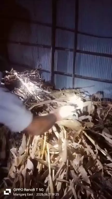 समकालीन अभियान के तहत जदिया थानांतर्गत मानगंज  में छापामारी कर लगभग 50 लीटर शराब बनाने वाले पदार्थ को विनष्ट  किया गया।