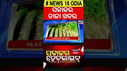 Top Headlines |  Snana Yatra 2025 | Mohan Majhi | Odia News |Weather Update |Odia News