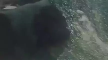 झांसी: शताब्दी एक्सप्रेस के वीरांगना लक्ष्मीबाई स्टेशन छोड़ने के बाद ट्रेन के कोच के शीशों पर किया गया पथराव, वीडियो हुआ वायरल