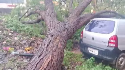 ಬಾಗಲಕೋಟೆ: ನಗರದಲ್ಲಿ ಉರುಳಿ ಬಿದ್ದ ಬೃಹತ್ ಮರ, ಜಖಂಗೊಂಡ ಕಾರು