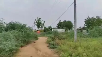 కనిగిరి: పట్టణంలోని బొగ్గుల గొంది కాలనీలో కనీస మౌలిక వసతులు లేక ఇబ్బందులు పడుతున్న ప్రజలు  #localissue