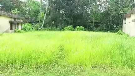 কুলতলি: বর্ষার আগে আগাছায় পরিপূর্ণ হয়ে পড়েছে ভুবনেশ্বরী প্রাথমিক স্বাস্থ্য কেন্দ্রটি, বাড়ছে সরীসৃপের উপদ্রব # jansamasya