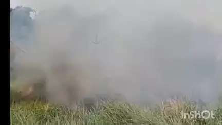 एकमा: एकमा स्थित जंगल में अचानक लगी आग