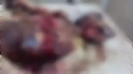 शिवपुरी नगर: शिवपुरी-झांसी फोरलेन हाईवे पर अज्ञात वाहन ने बाइक सवारों को रौंदा, दोनों की मौके पर दर्दनाक मौत