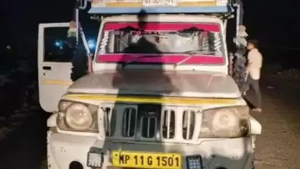 बिजौलिया: बिजौलिया में गौ तस्करी का प्रयास नाकाम, पिकअप से 4 बैल मुक्त कराए, झाबुआ के 4 आरोपी गिरफ्तार