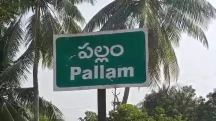 పల్లం గ్రామంలో దళారులు మోసంతో తీవ్రంగా నష్టపోయిన పీతల సాగు రైతులు #localissue