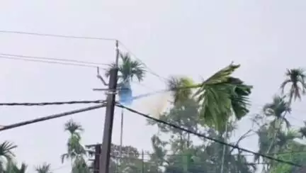 বঙাইগাঁও ভাগ: ভাকাৰীভিটাত গছ পৰি বিদ্যুতৰ খুঁটাত জুইৰ সূত্ৰপাত, অঞ্চলজুৰি ৰাইজৰ মাজত আতংক, কৰ্তন কৰা হৈছে বিদ্যুৎ সেৱা