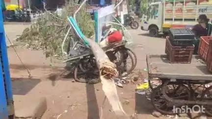हरसूद: गुरुवार सुबह छनेरा क्षेत्र में नगर परिषद ने जेसीबी से पेड़ हटाकर रास्ता किया साफ