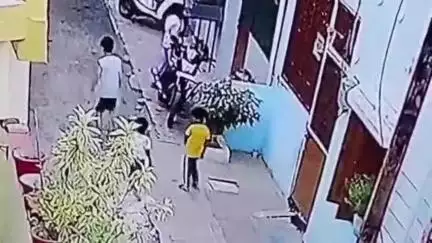 रतलाम नगर: अमृत सागर कॉलोनी में कुत्ते का बच्चे पर हमला, वीडियो सोशल मीडिया पर वायरल