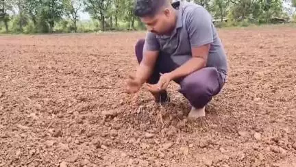 ಬೈಲಹೊಂಗಲ: ಕೃಷಿ ಬೀಜ ಕಳಪೆ ವಿಚಾರ ಬೈಲಹೊಂಗಲ ತಾಲೂಕಿನ ತುರಕರ ಶಿಗಿಹಳ್ಳಿ ಗ್ರಾಮದಲ್ಲಿ ರೈತರ ಆಕ್ರೋಶ #localissue