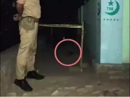 यूपी के कानपुर में 5 वर्षीय बच्ची का हुआ रेप, कुचला गया सिर और मुंह में ठूंस दी गई मिट्‌टी-पत्ते