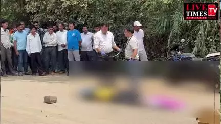 पद्धर में गाड़ी की चपेट में आने से बाइक सवार युवक की मौके पर हुई मौत