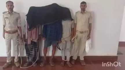 मेहरमा: मेहरमा थाना पुलिस ने तीन अलग-अलग मामलों के आरोपियों को किया गिरफ्तार, भेजा जेल