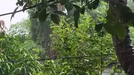 রামপুরহাট ২: অবশেষে স্বস্তির বৃষ্টি মাড়গ্রামে।