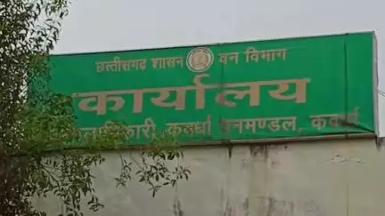 कवर्धा: भोरमदेव अभ्यारण में फिर से चालू होने जा रहा जंगल सफारी, पर्यटक इलैक्ट्रोनिक वाहन में ले सकेंगे जंगल का मजा