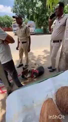 बैकुंठपुर: बैकुंठपुर में बीती रात बंटी महराज के यहां हुई चोरी, पुलिस स्क्वायड डॉग के माध्यम से चोरों की कर रही तलाश