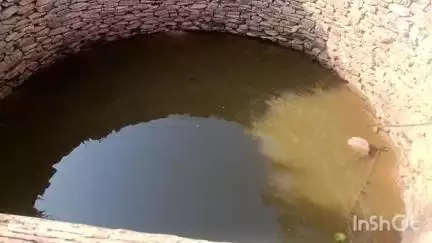 अंबिकापुर: ग्राम पंचायत गाजरभावना के ग्रामीण कई वर्षों से कुंआ का गन्दा पानी पीने की मजबूर #jansamasya