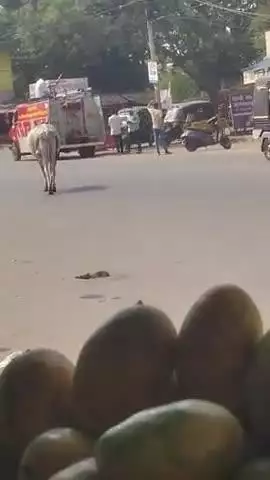 गाडरवारा राठी तिराहा पर एक खम्भे में लगी भीषड़ आग समय पर पाहुची फेयरबिगेड पाया आग पर नियंत्रन#gadarwara