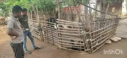कुही: साळवा-चापेगडी शिवारात बकऱ्यांची चोरी, आरोपीविरुद्ध कूही पोलिसात गुन्हा दाखल