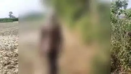 भोगांव: बेवर क्षेत्र में दबंगों ने अधेड़ व्यक्ति के साथ रुपए और मोबाइल छीनकर मारपीट कर कुकर्म की घटना को दिया अंजाम