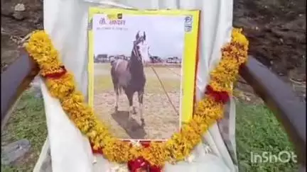 येवला: एरंडगाव येथे लाडक्या घोड्याचा दशक्रिया विधी संपन्न मुस्लिम बांधवांच्या अनोख्या कार्याची चर्चा