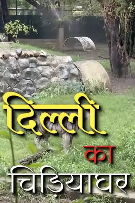 दिल्ली के चिड़ियाघर की बदलेगी तस्वीर…! इसे संवारने का काम करेगी अनंत अंबानी का वंतारा