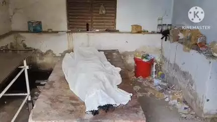 कसडोल: ग्राम देवतराई में एक किशोरी की सांप काटने से हुई मौत, परिवार में शोक का माहौल