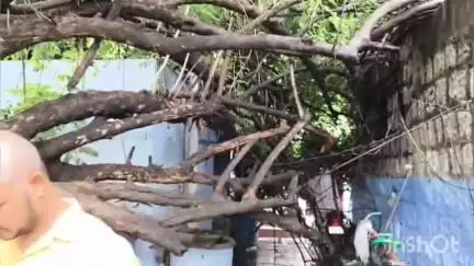 ఆదోని: ఆదోనిలో గుడిసె పై చెట్టు కూలిపోవడంతో, కన్నీరు పెట్టుకుంటున్న కుటుంబ సభ్యులు