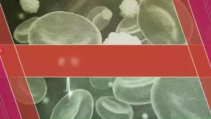 उच्च रक्तचाप से बचाव के तरीके How to Protect High Blood Pressure
@IPRDBihar