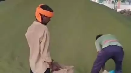 हरदा: हरदा में मूंग की फसल पर संकट: समर्थन मूल्य पर खरीदी शुरू नहीं, मंडियों में भी नहीं मिल रहे अच्छे दाम