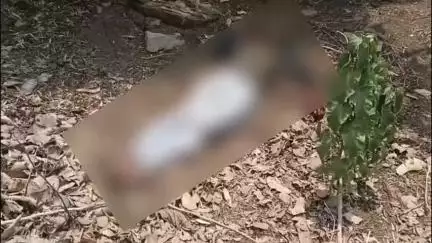 खम्हारिया पैसीयान में रस्सी से पैर बांधकर धारदार हथियार से की गई युवक की हत्या, मौके पर पहुंची पुलिस और FSL टीम