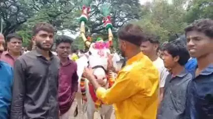 करवीर: पंचगंगा नदी घाटावर बेंदूर सणानिमित्त बैलांची निघालेली मिरवणूक पाहण्यासाठी कोल्हापूरकरांची गर्दी