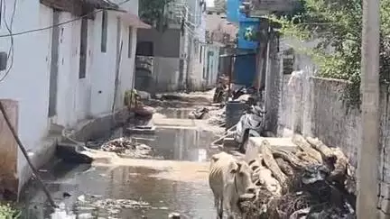 तिल्दा: तिल्दा नेवरा के वार्ड क्रमांक 4 का हाल बेहाल, नालियां जाम व सड़क पर गंदा पानी होने से लोग परेशान #jansamasya