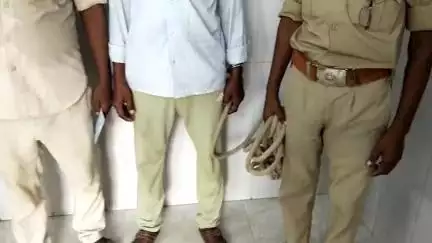 ताजपुर: सोंगर गांव से बकाया बिजली बिल मामले में न्यायालय के वारंट पर पुलिस ने एक व्यक्ति को किया गिरफ्तार