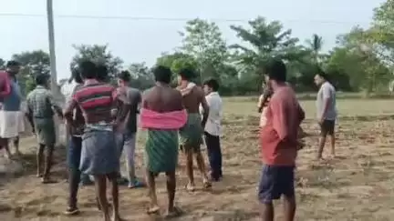 ବିଜେପୁର: ଭାଙ୍ଗମୁଣ୍ଡା ଠାରେ ଖୋଲା ବିଦ୍ୟୁତ ତାର ସଂସ୍ପର୍ଶରେ ଆସି ଚାରି ଗାଈ ଗୋରୁ ମୃତ