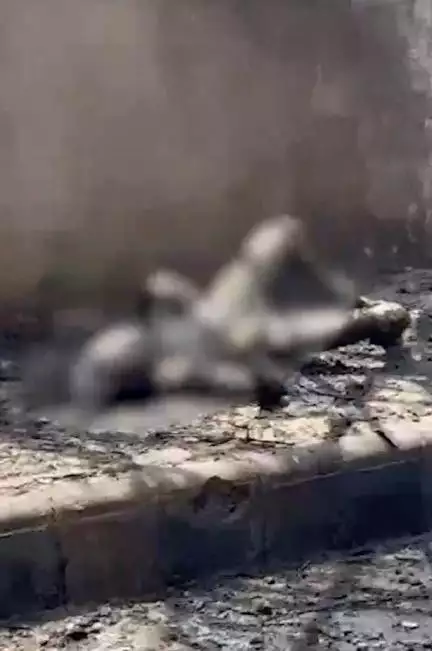 625 फीट से हॉस्टल पर गिरा यात्रियों से भरा विमान तब खाना खा रहे थे छात्र, Video में दिखा मौत का मंज़र