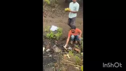 भैंसदेही: चिचढाना के पास बाइक के सामने अचानक बन्दर के आने से दो युवक हुए घायल, इलाज के दौरान बंदर की हुई मौत