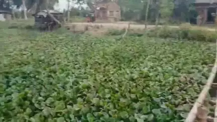 ভাঙড় ১: বোদরা চাঁদপুরে বাঁশের ব্রিজের পরিবর্তে কংক্রিটের ব্রিজ তৈরির লক্ষ্যে ইঞ্জিনিয়ারদের নিয়ে এলাকা পরিদর্শন

#jansamasya