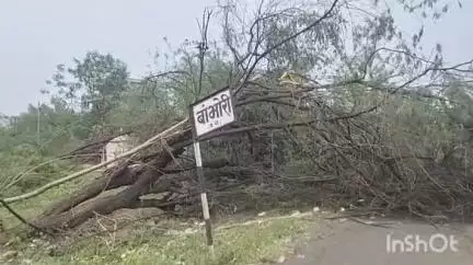 जळगाव: जळगाव जिल्ह्यात पावसामुळे मोठ्या प्रमाणात नुकसान