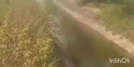डही: जोबट परियोजना की नहरों में पानी छोड़ा गया, कुक्षी डही क्षेत्र के किसानों को होगा फायदा