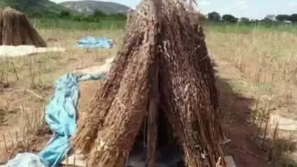গড়বেতা ৩: রসকুন্ডু এলাকায় রাস্তায় মেলা রয়েছে তিল তাতেই দুর্ঘটনার কবলে বাইক চালক, গুরুতর আহত অবস্থায় উদ্ধার করা হয়