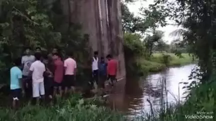 বিশালগড়: রঘুনাথপুর রেল ব্রিজের নিচে পড়ে যায় একটি গবাদি পশু, উদ্ধার কাজে হাত লাগান এলাকার জনগন