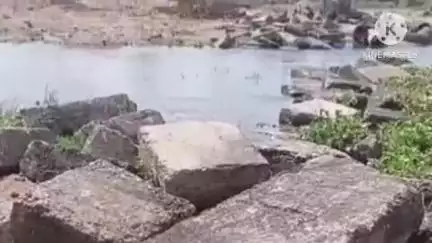 বাঁকুড়া ১: বর্ষার আগে দু কোটি সত্তোর লক্ষ টাকার কাজ শুরু দ্বারকেশ্বর নদীর উপর ভাদুল-সূর্পানগর ব্রিজের #jansamasya