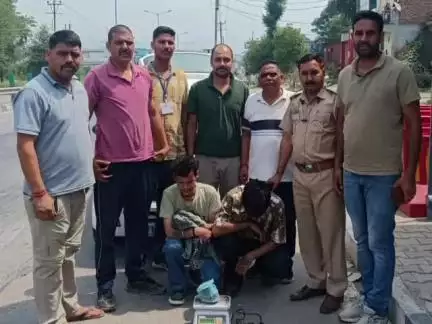 डेहर: तरोट में एसआईयू टीम की बड़ी कार्रवाई, ऑल्टो कार सवार 2 युवकों को 539 ग्राम चरस के साथ किया गिरफ्तार
